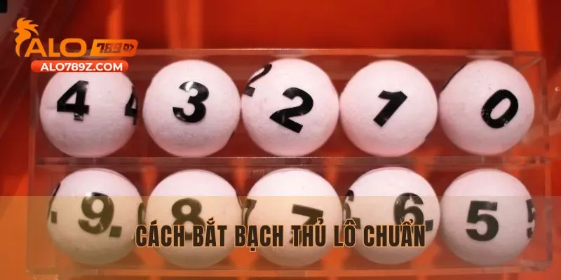 Cách Bắt Bạch Thủ Lô Chuẩn| Bí Quyết Chinh Phục Giải Thưởng